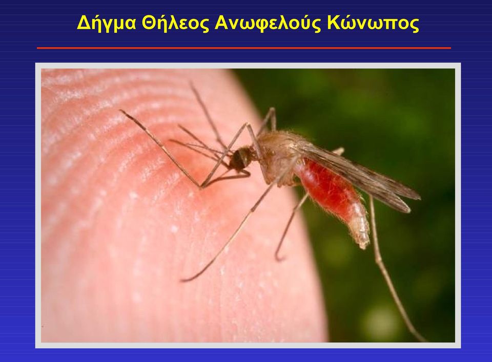 Ανωφελούς