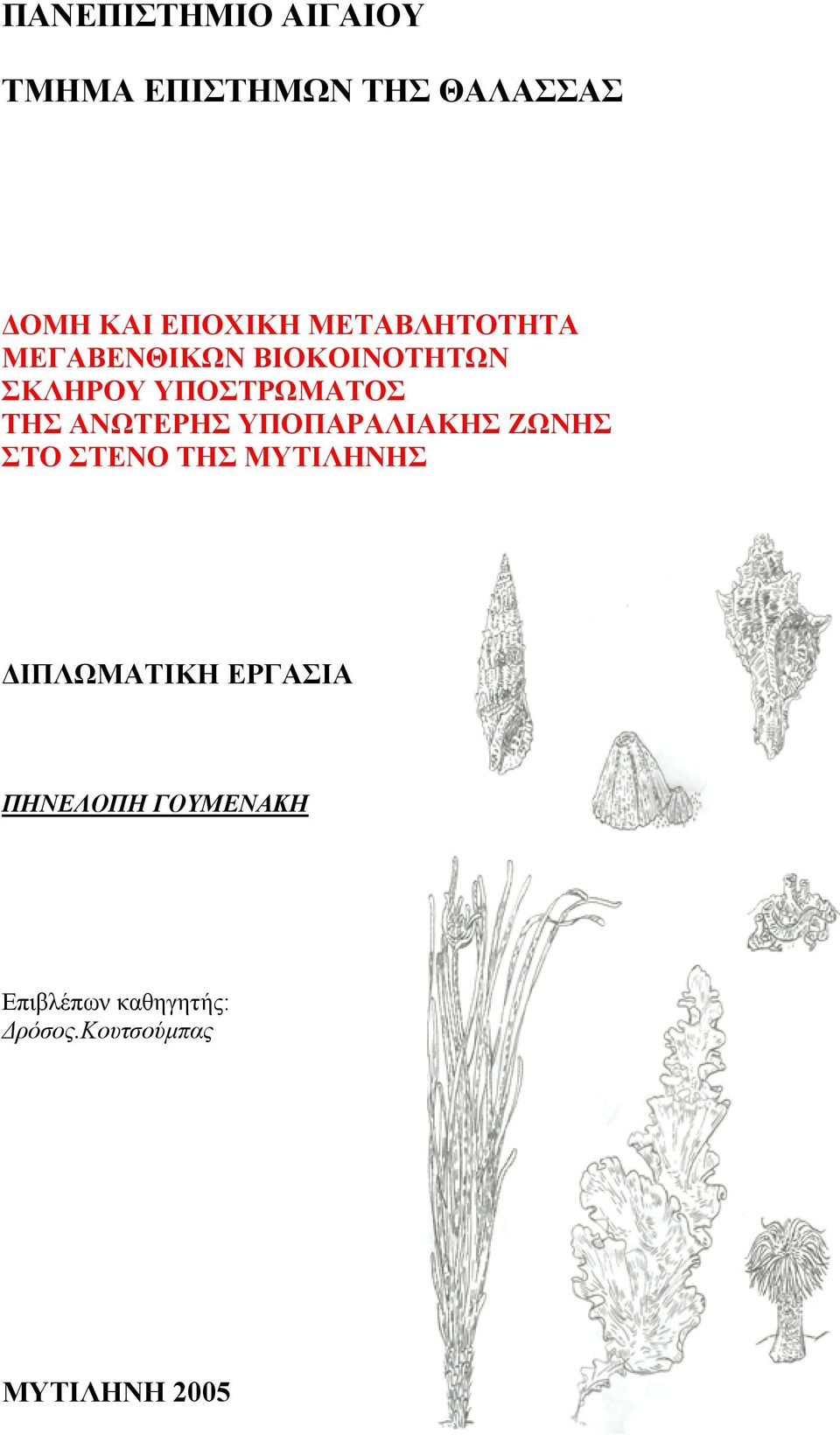 ΑΝΩΤΕΡΗΣ ΥΠΟΠΑΡΑΛΙΑΚΗΣ ΖΩΝΗΣ ΣΤΟ ΣΤΕΝΟ ΤΗΣ ΜΥΤΙΛΗΝΗΣ ΙΠΛΩΜΑΤΙΚΗ