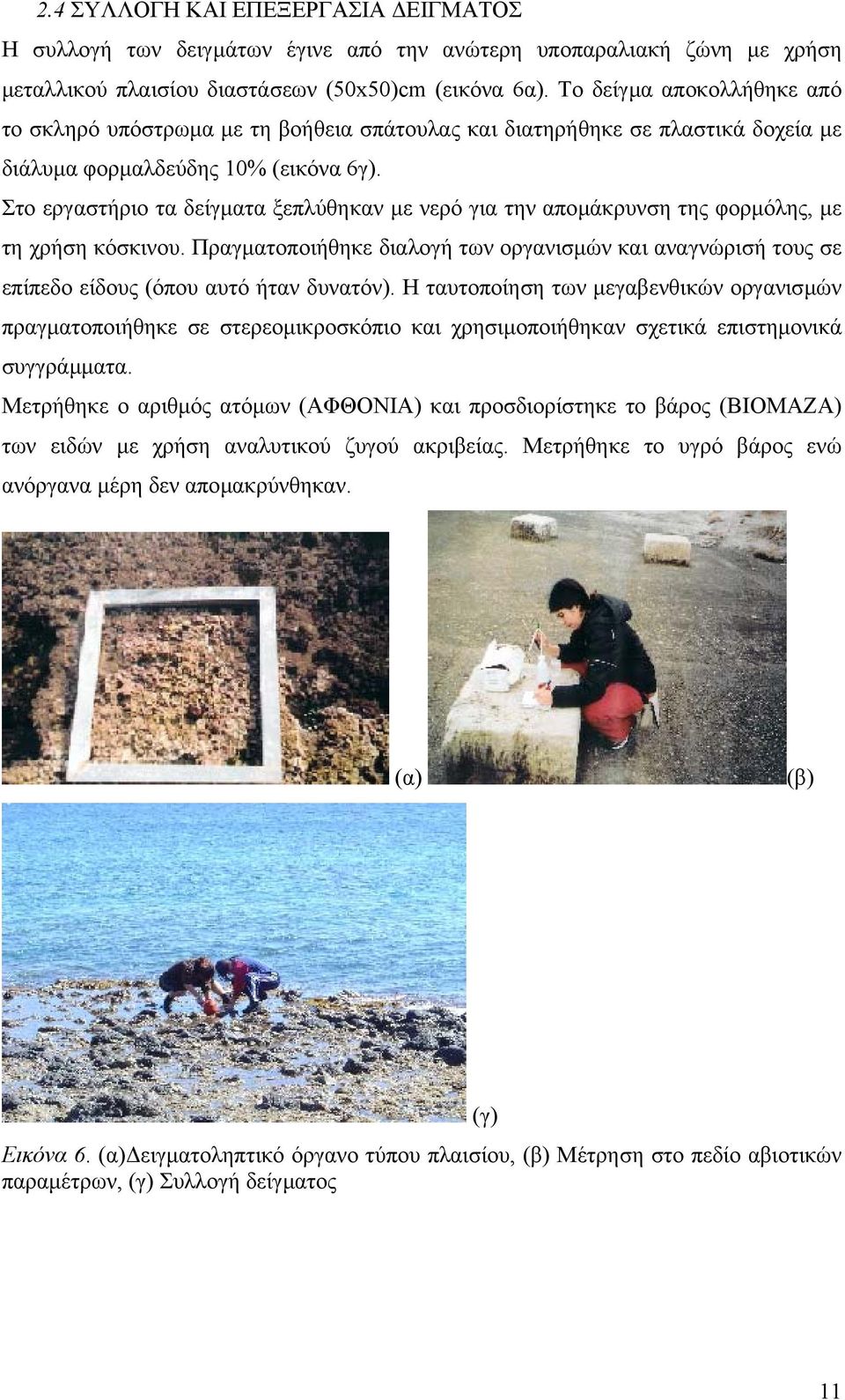 Στο εργαστήριο τα δείγµατα ξεπλύθηκαν µε νερό για την αποµάκρυνση της φορµόλης, µε τη χρήση κόσκινου.