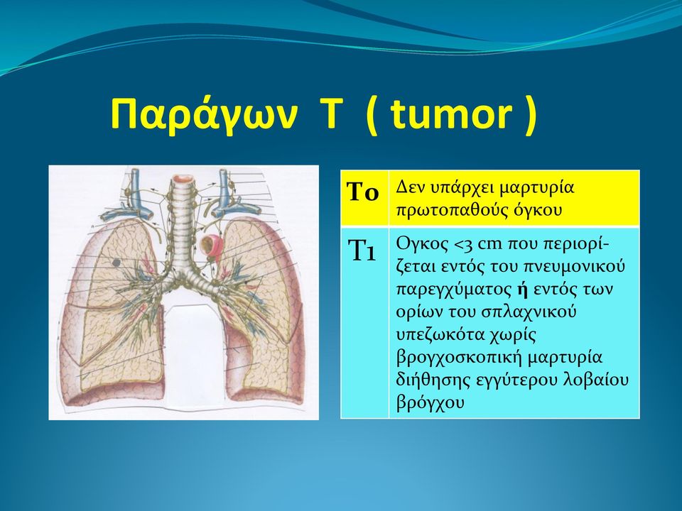 πνευμονικού! παρεγχύματος!ή!εντός!των! ορίων!του!σπλαχνικού!