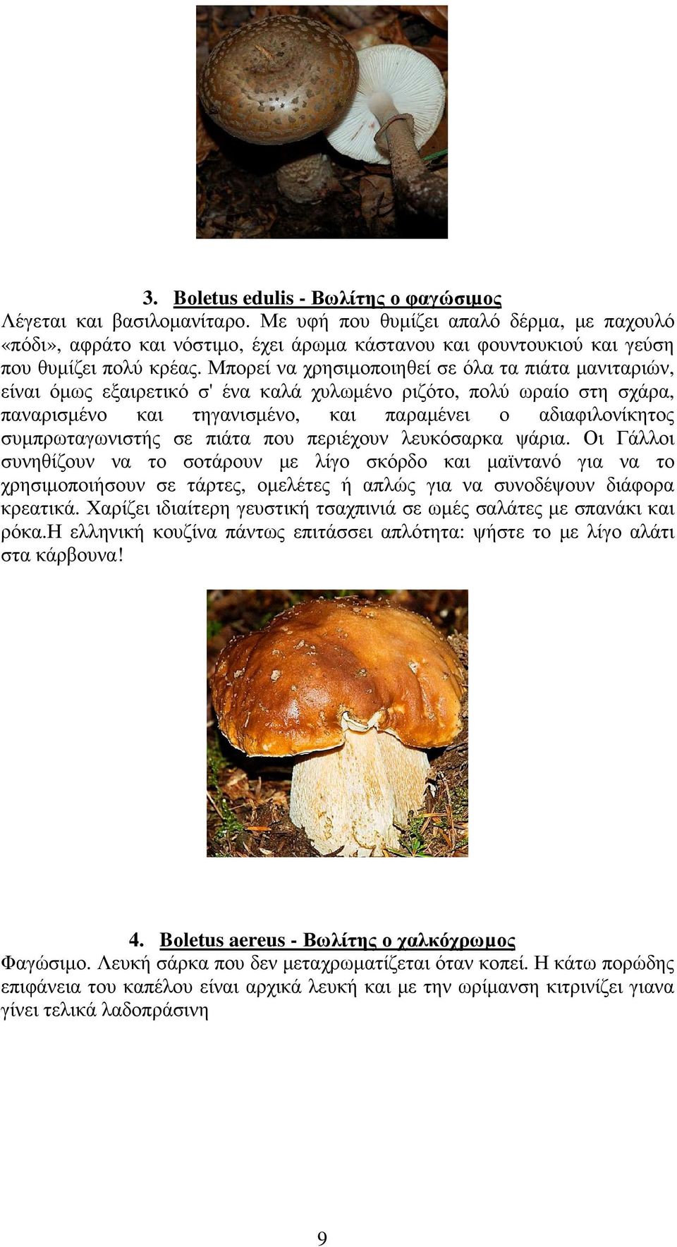 Μπορεί να χρησιµοποιηθεί σε όλα τα πιάτα µανιταριών, είναι όµως εξαιρετικό σ' ένα καλά χυλωµένο ριζότο, πολύ ωραίο στη σχάρα, παναρισµένο και τηγανισµένο, και παραµένει ο αδιαφιλονίκητος