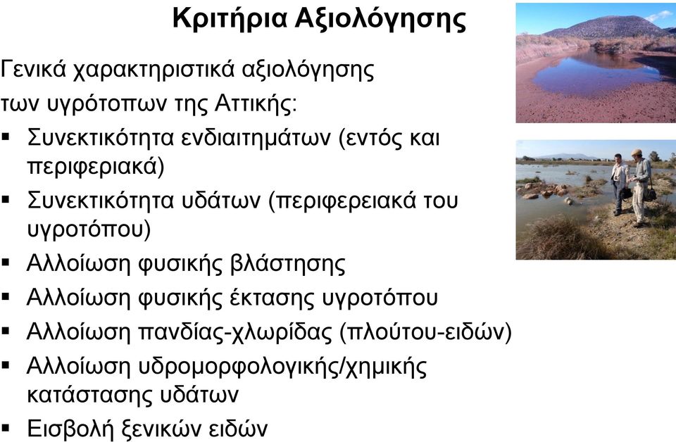 υγροτόπου) Αλλοίωση φυσικής βλάστησης Αλλοίωση φυσικής έκτασης υγροτόπου Αλλοίωση