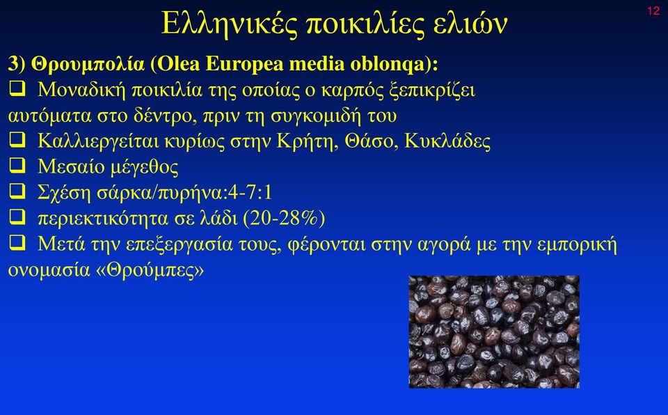 στην Κρήτη, Θάσο, Κυκλάδες Μεσαίο μέγεθος Σχέση σάρκα/πυρήνα:4-7:1 περιεκτικότητα σε λάδι