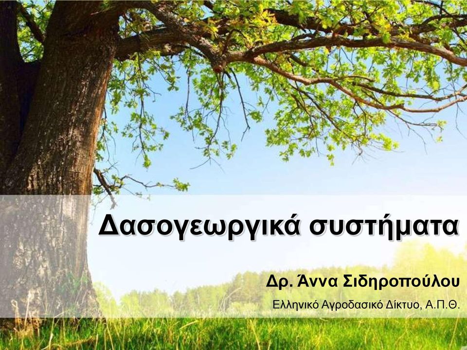 Άννα Σιδηροπούλου