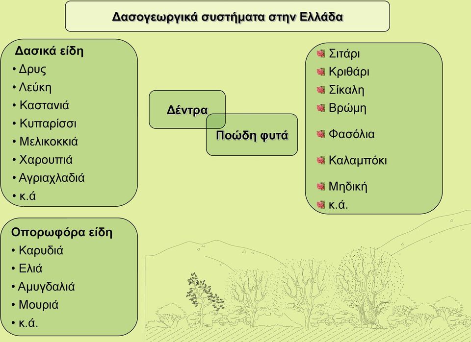 Κριθάρι Σίκαλη Βρώμη Φασόλια Χαρουπιά Καλαμπόκι Αγριαχλαδιά