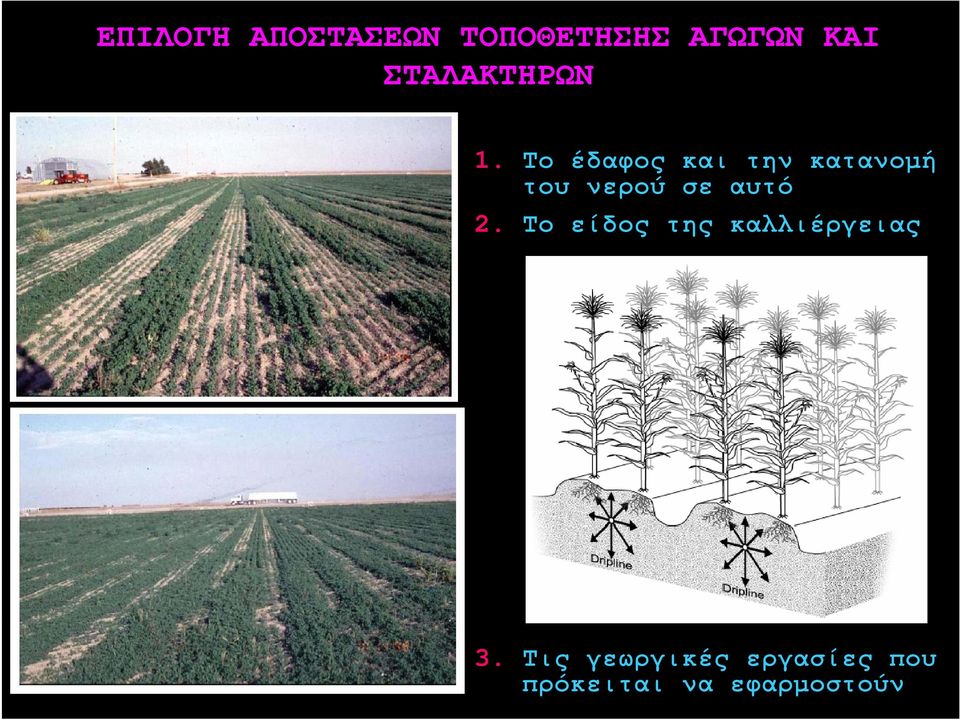 Το έδαφος και την κατανομή του νερού σε αυτό 2.