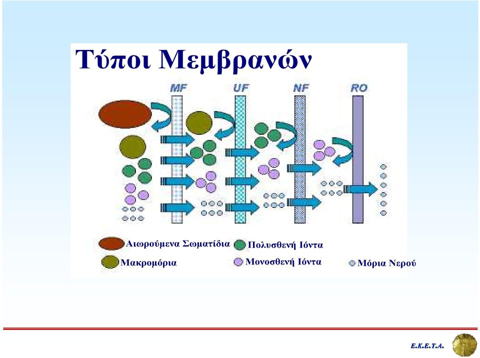 Μακροµόρια Πολυσθενή