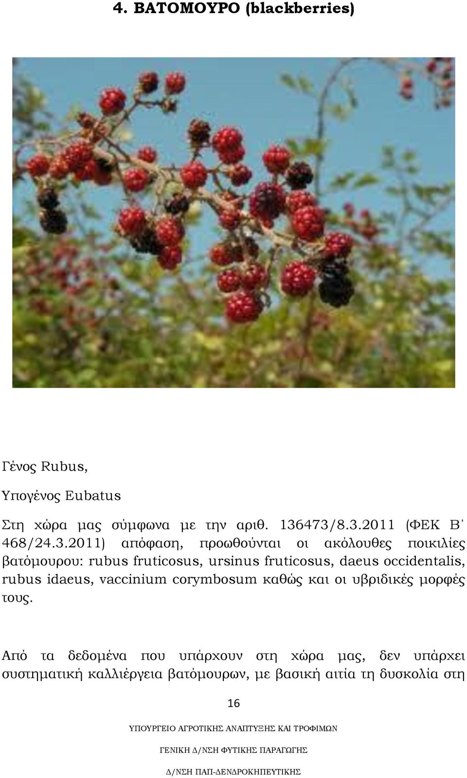 ursinus fruticosus, daeus occidentalis, rubus idaeus, vaccinium corymbosum καθώς και οι υβριδικές μορφές τους.