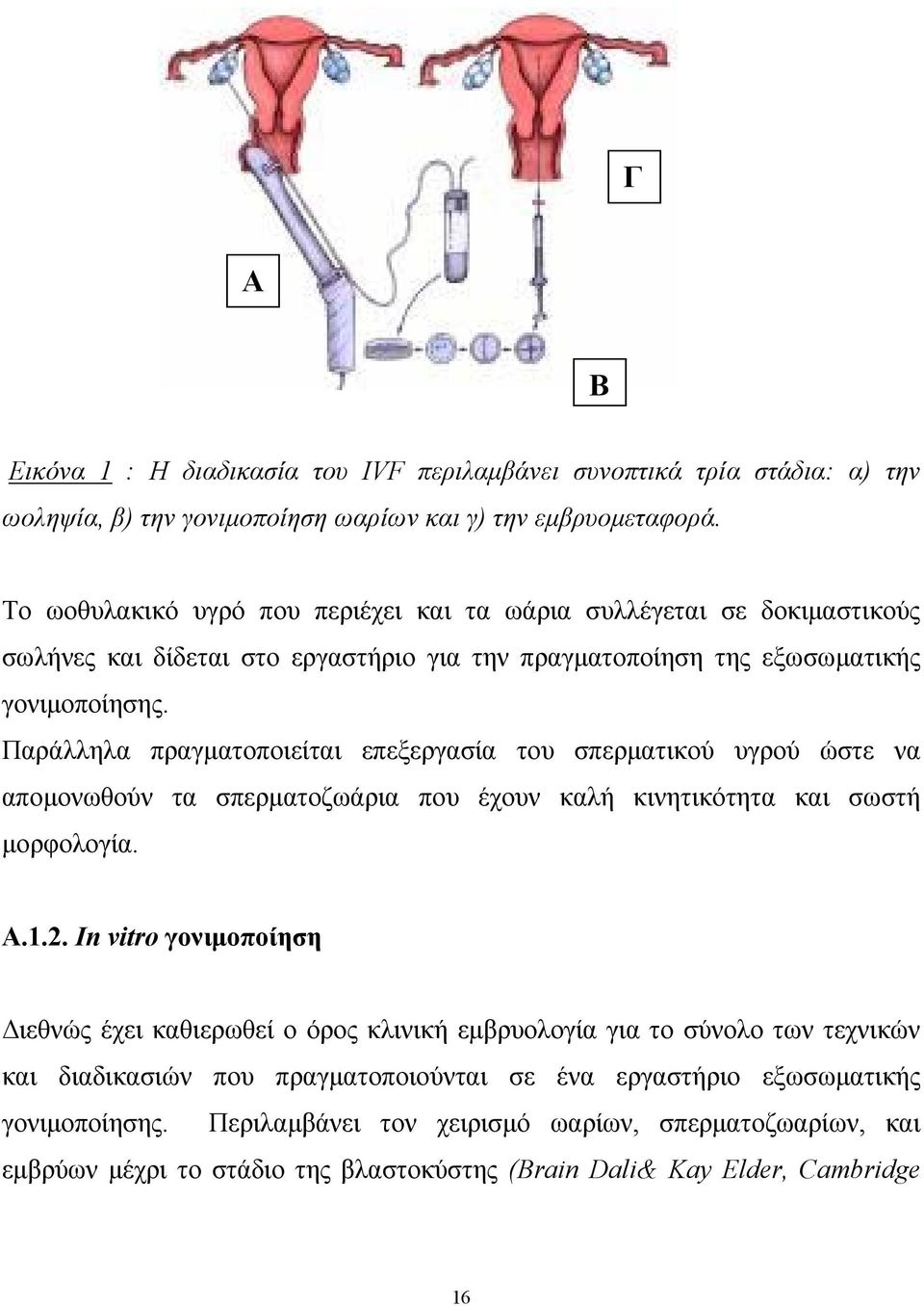 Παράλληλα πραγματοποιείται επεξεργασία του σπερματικού υγρού ώστε να απομονωθούν τα σπερματοζωάρια που έχουν καλή κινητικότητα και σωστή μορφολογία. Α.1.2.