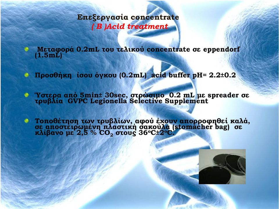2 ml µε spreader σε τρυβλία GVPC Legionella Selective Supplement Τοποθέτηση των τρυβλίων, αφού έχουν