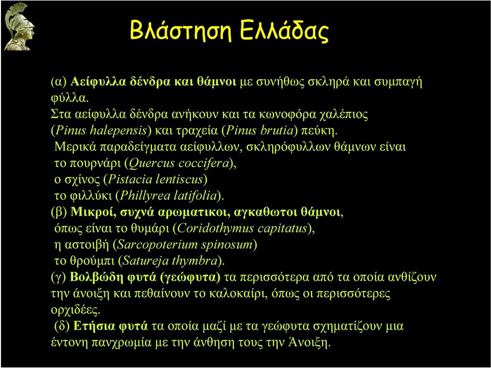 Μερικά παραδείγματα αείφυλλων, σκληρόφυλλων θάμνων είναι το πουρνάρι (Quercus coccifera), οσχίνος(pistacia lentiscus) το φιλλύκι (Phillyrea latifolia).