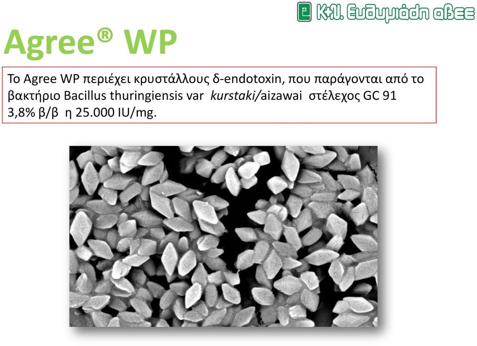 βακτήριο Bacillus thuringiensis var
