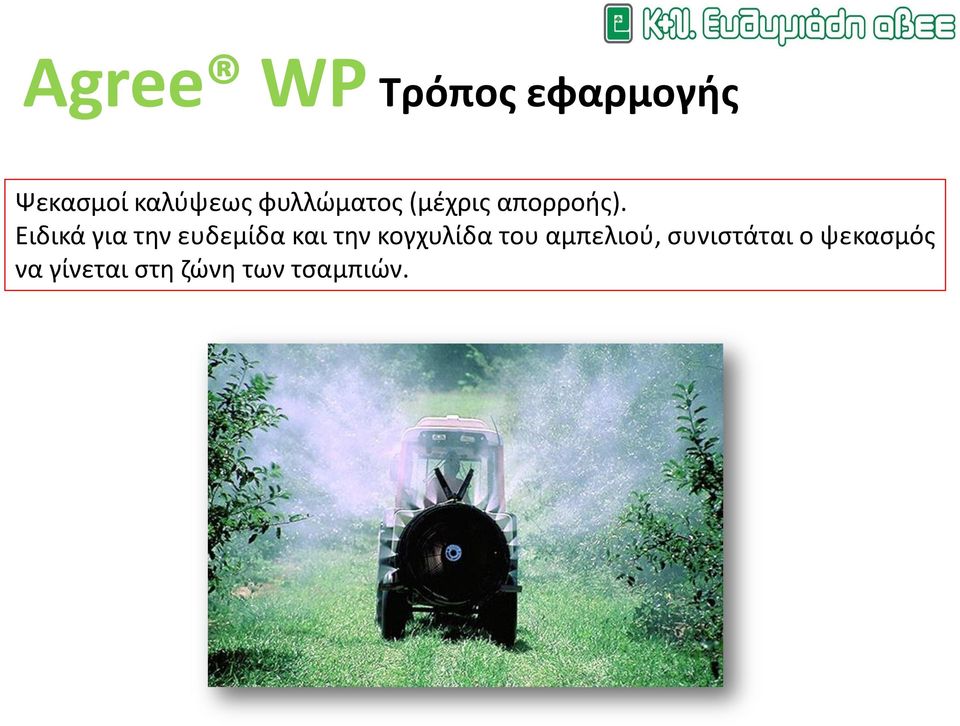 Ειδικά για την ευδεμίδα και την κογχυλίδα του