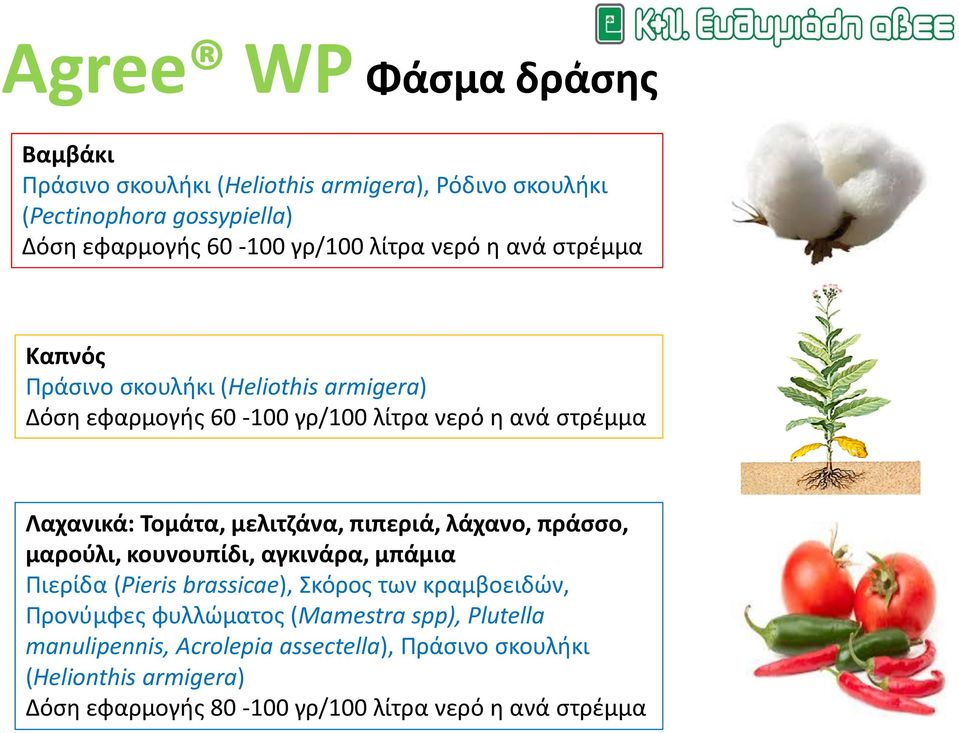 μελιτζάνα, πιπεριά, λάχανο, πράσσο, μαρούλι, κουνουπίδι, αγκινάρα, μπάμια Πιερίδα (Pieris brassicae), Σκόρος των κραμβοειδών, Προνύμφες