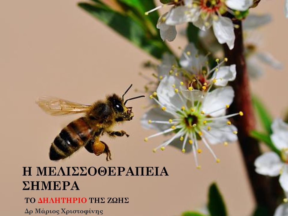 ΣΜΕΡΑ ΤΟ ΔΛΤΡΙΟ