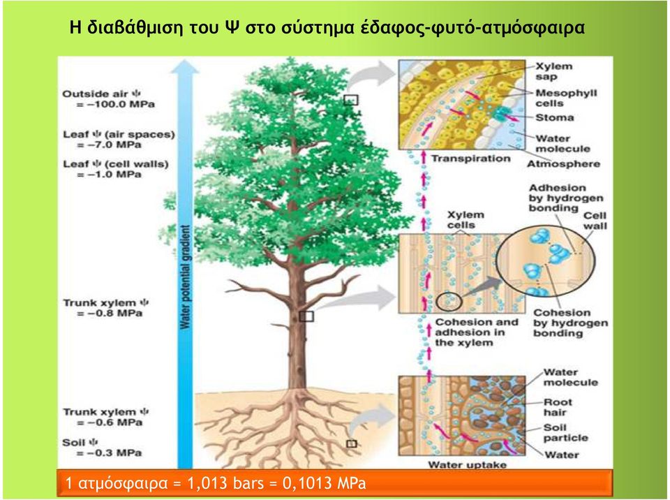 έδαφος-φυτό-ατμόσφαιρα