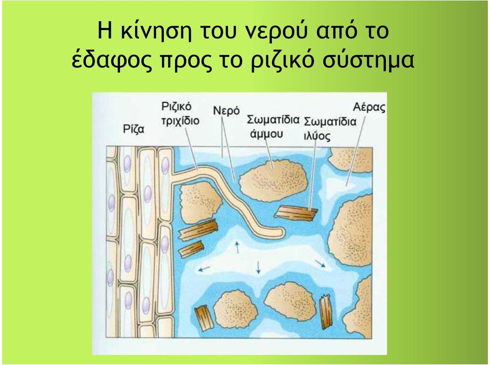 έδαφος προς