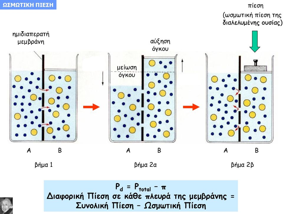 Α Β Α Β βήμα 1 βήμα 2α βήμα 2β P d = P total π Διαφορική