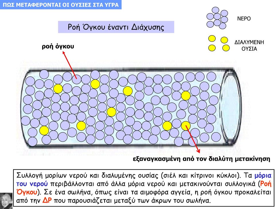 Τα μόρια του νερού περιβάλλονται από άλλα μόρια νερού και μετακινούνται συλλογικά (Ροή Όγκου).