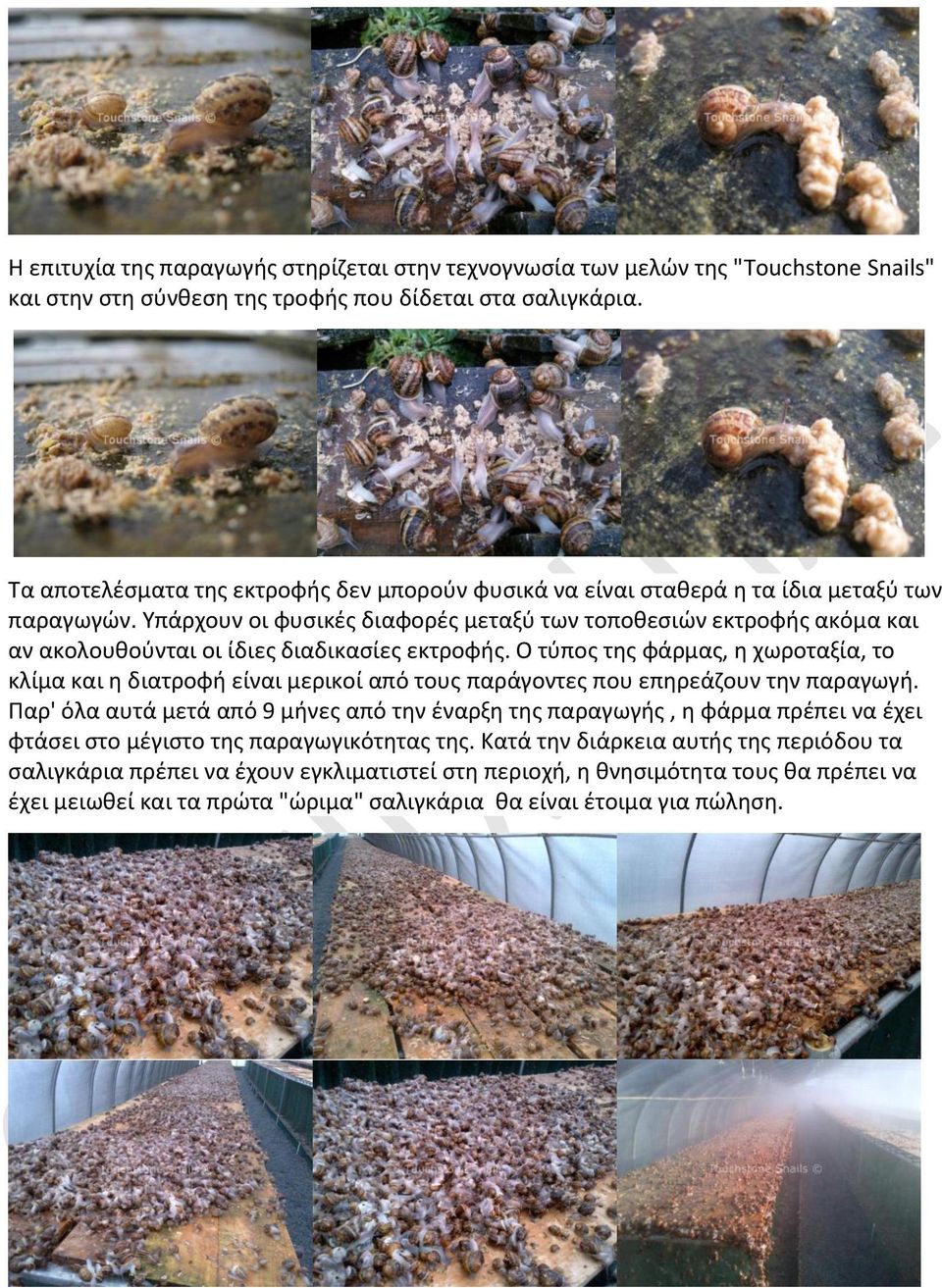 Υπάρχουν οι φυσικές διαφορές μεταξύ των τοποθεσιών εκτροφής ακόμα και αν ακολουθούνται οι ίδιες διαδικασίες εκτροφής.