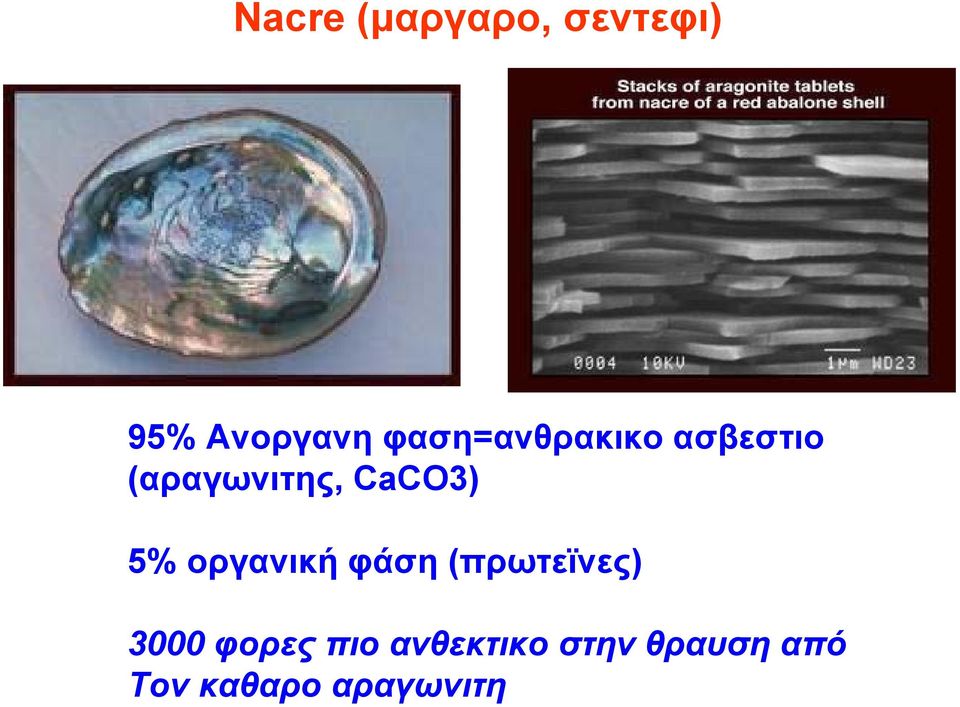CaCO3) 5% οργανική φάση (πρωτεϊνες) 3000