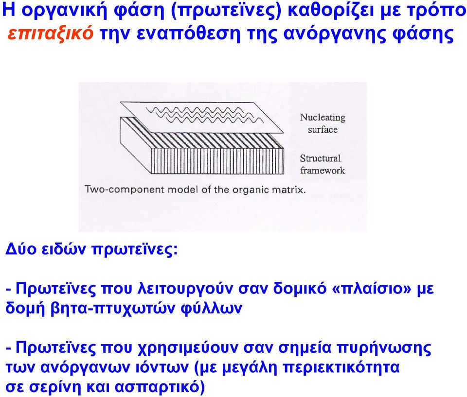 «πλαίσιο» με δομή βητα-πτυχωτών φύλλων - Πρωτεϊνες που χρησιμεύουν σαν σημεία