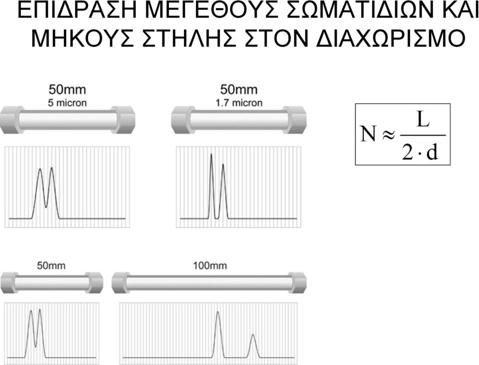 ΣΩΜΑΤΙΔΙΩΝ ΚΑΙ