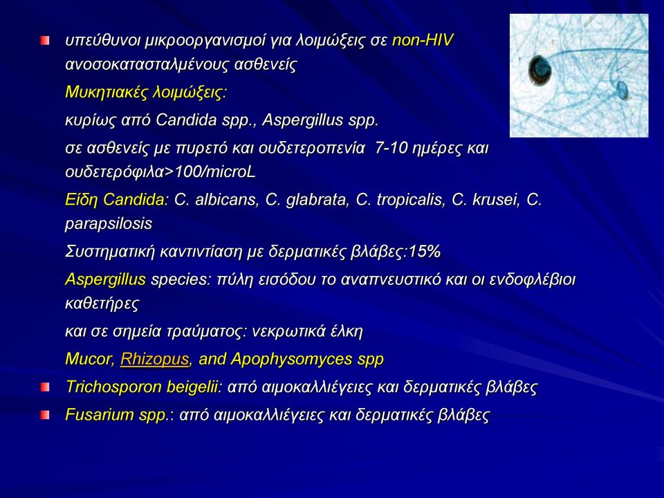 parapsilosis Συστηματική καντιντίαση με δερματικές βλάβες:15% Aspergillus species: πύλη εισόδου το αναπνευστικό και οι ενδοφλέβιοι καθετήρες και σε σημεία