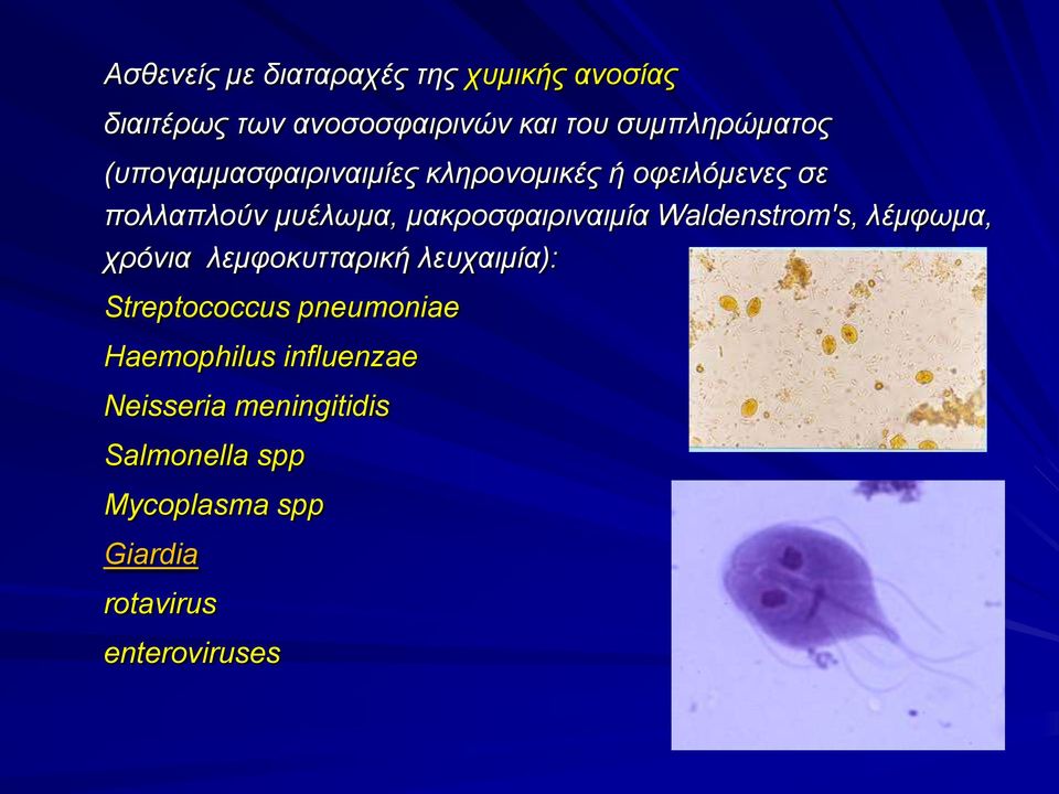 Waldenstrom's, λέμφωμα, χρόνια λεμφοκυτταρική λευχαιμία): Streptococcus pneumoniae