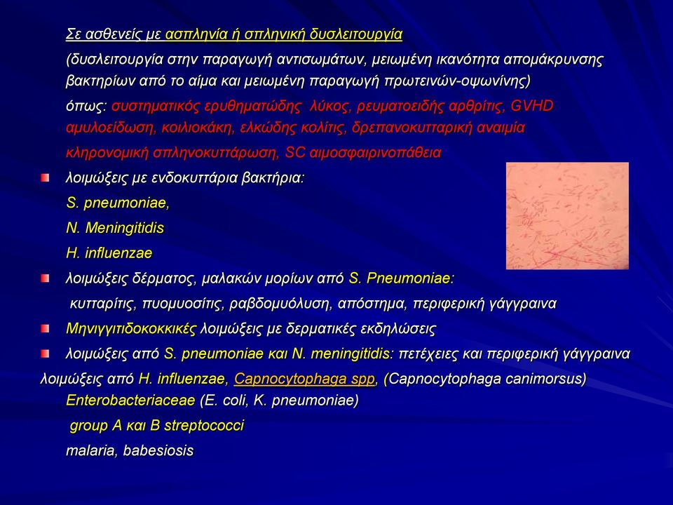 ενδοκυττάρια βακτήρια: S. pneumoniae, N. Meningitidis H. influenzae λοιμώξεις δέρματος, μαλακών μορίων από S.