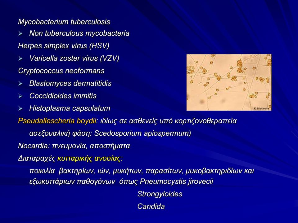 κορτιζονοθεραπεία ασεξουαλική φάση: Scedosporium apiospermum) Nocardia: πνευμονία, αποστήματα Διαταραχές κυτταρικής ανοσίας: