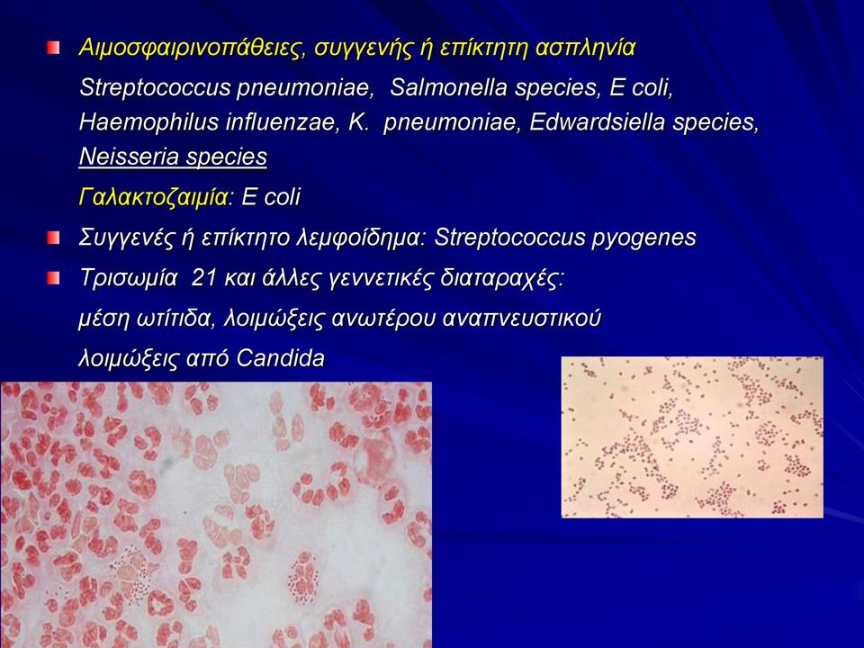 pneumoniae, Edwardsiella species, Neisseria species Γαλακτοζαιμία: E coli Συγγενές ή επίκτητο
