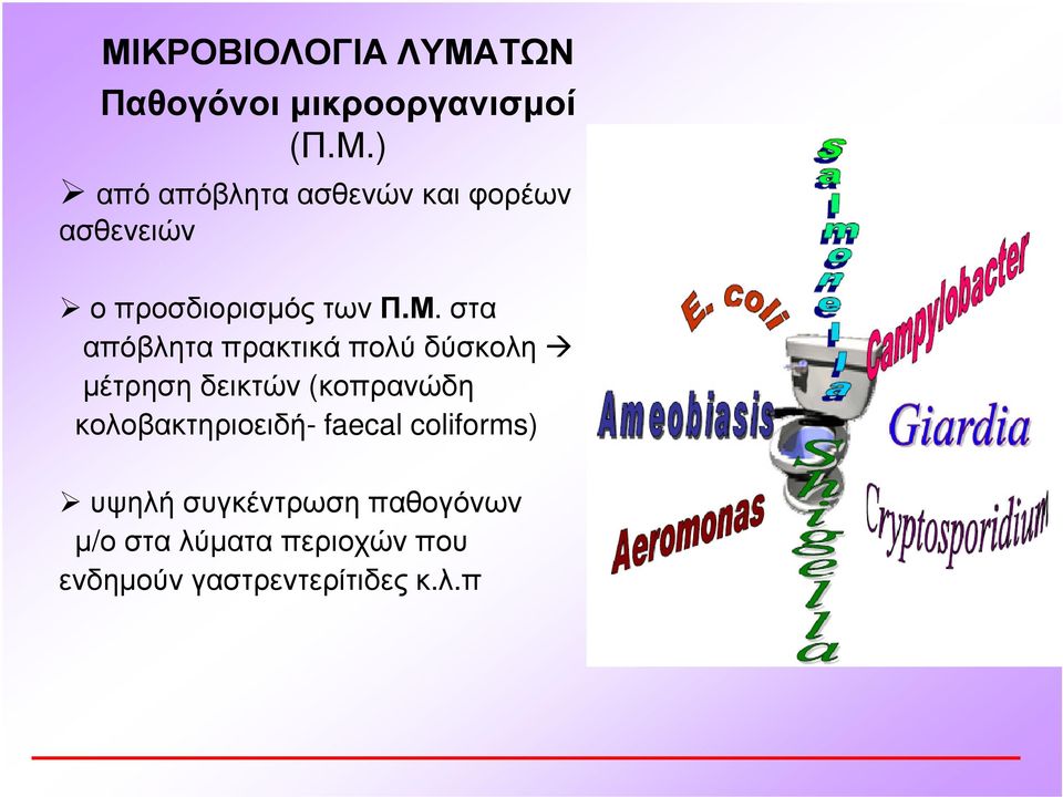κολοβακτηριοειδή- faecal coliforms) υψηλή συγκέντρωση παθογόνων µ/ο στα
