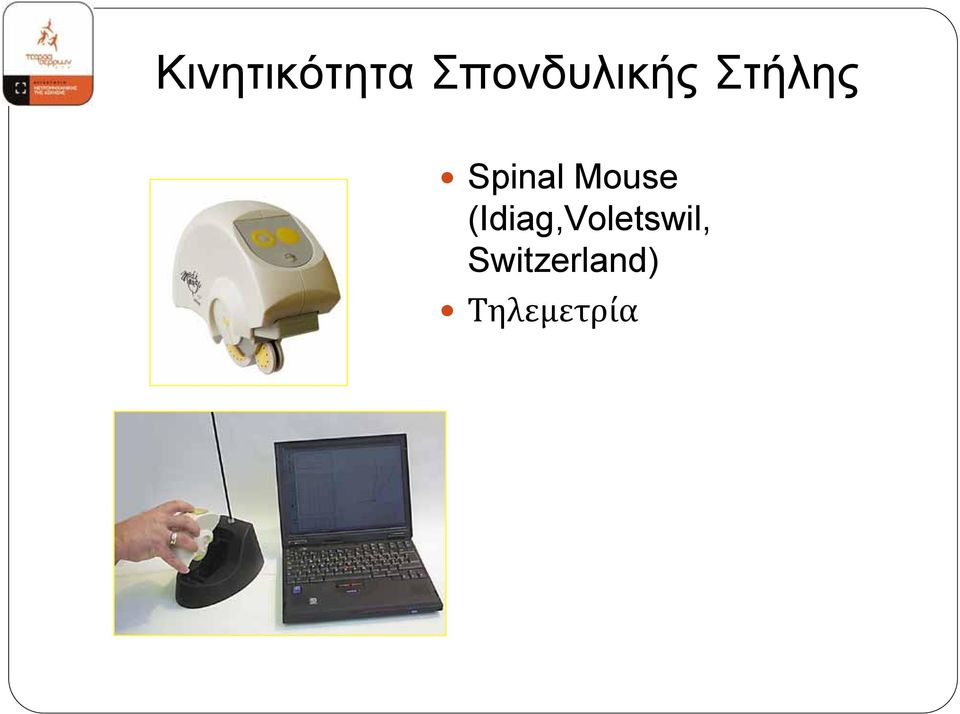 Spinal Mouse