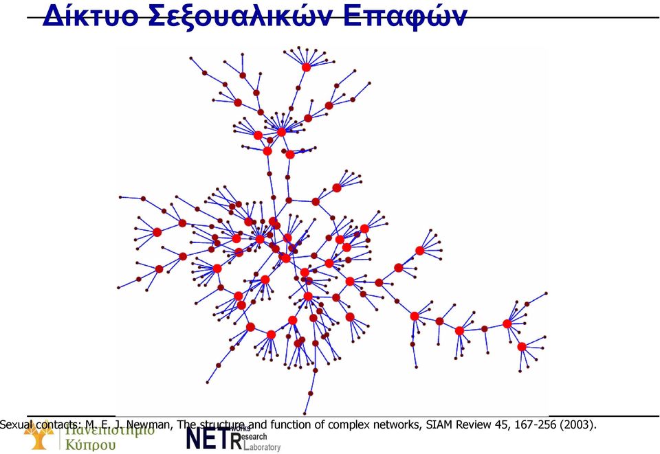 Newman, The structure and function