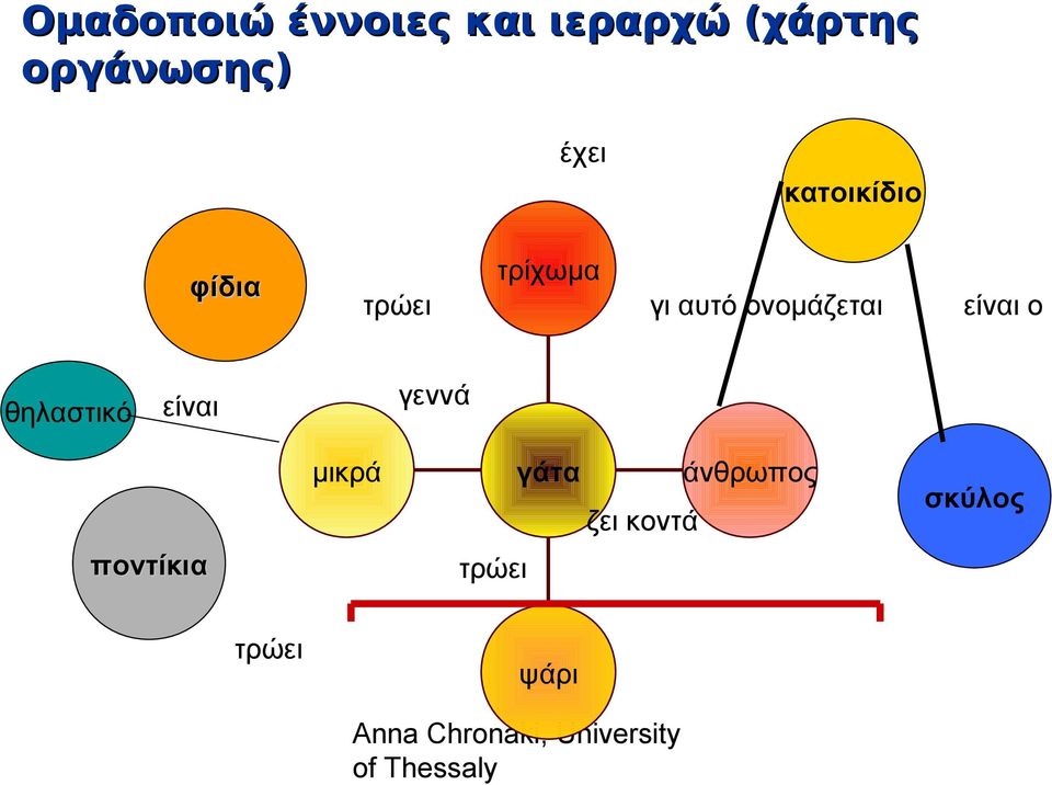 ονομάζεται είναι ο γεννά είναι μικρά γάτα άνθρωπος ζει