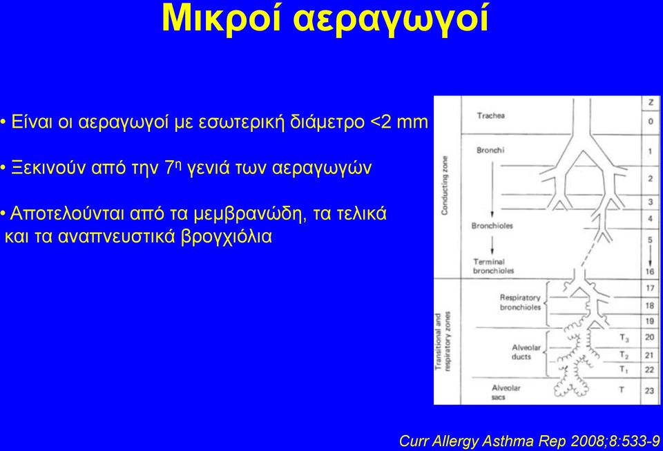 αεραγωγών Αποτελούνται από τα μεμβρανώδη, τα τελικά