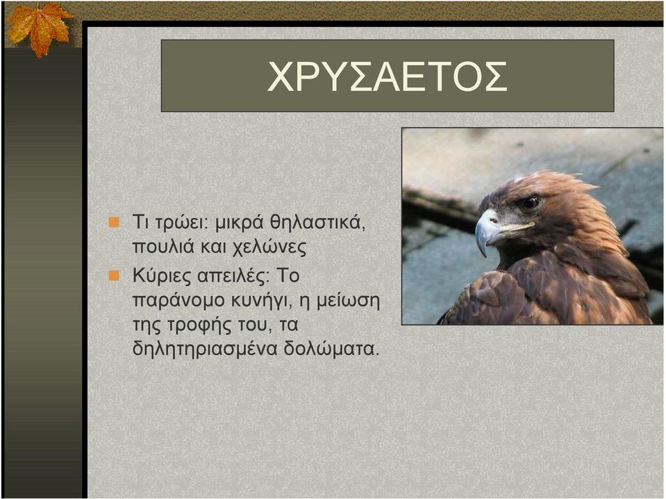 Κύριες απειλές: Το παράνοµο κυνήγι,