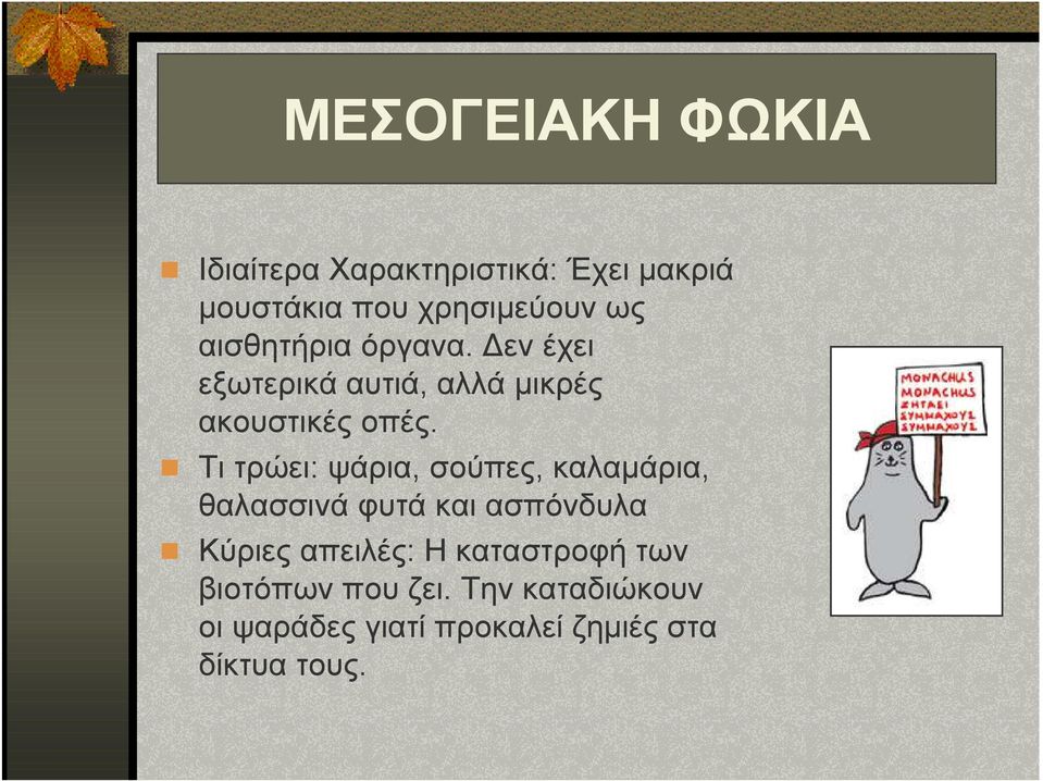 Τι τρώει: ψάρια, σούπες, καλαµάρια, θαλασσινά φυτά και ασπόνδυλα Κύριες απειλές: Η