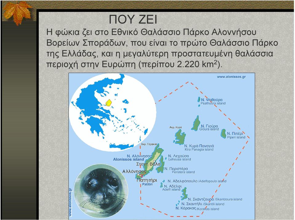 Θαλάσσιο Πάρκο της Ελλάδας, και η µεγαλύτερη