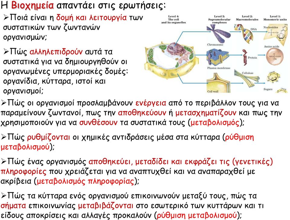 χρησιμοποιούν για να συνθέσουν τα συστατικά τους (μεταβολισμός); Πώς ρυθμίζονται οι χημικές αντιδράσεις μέσα στα κύτταρα (ρύθμιση μεταβολισμού); Πώς ένας οργανισμός αποθηκεύει, μεταδίδει και εκφράζει