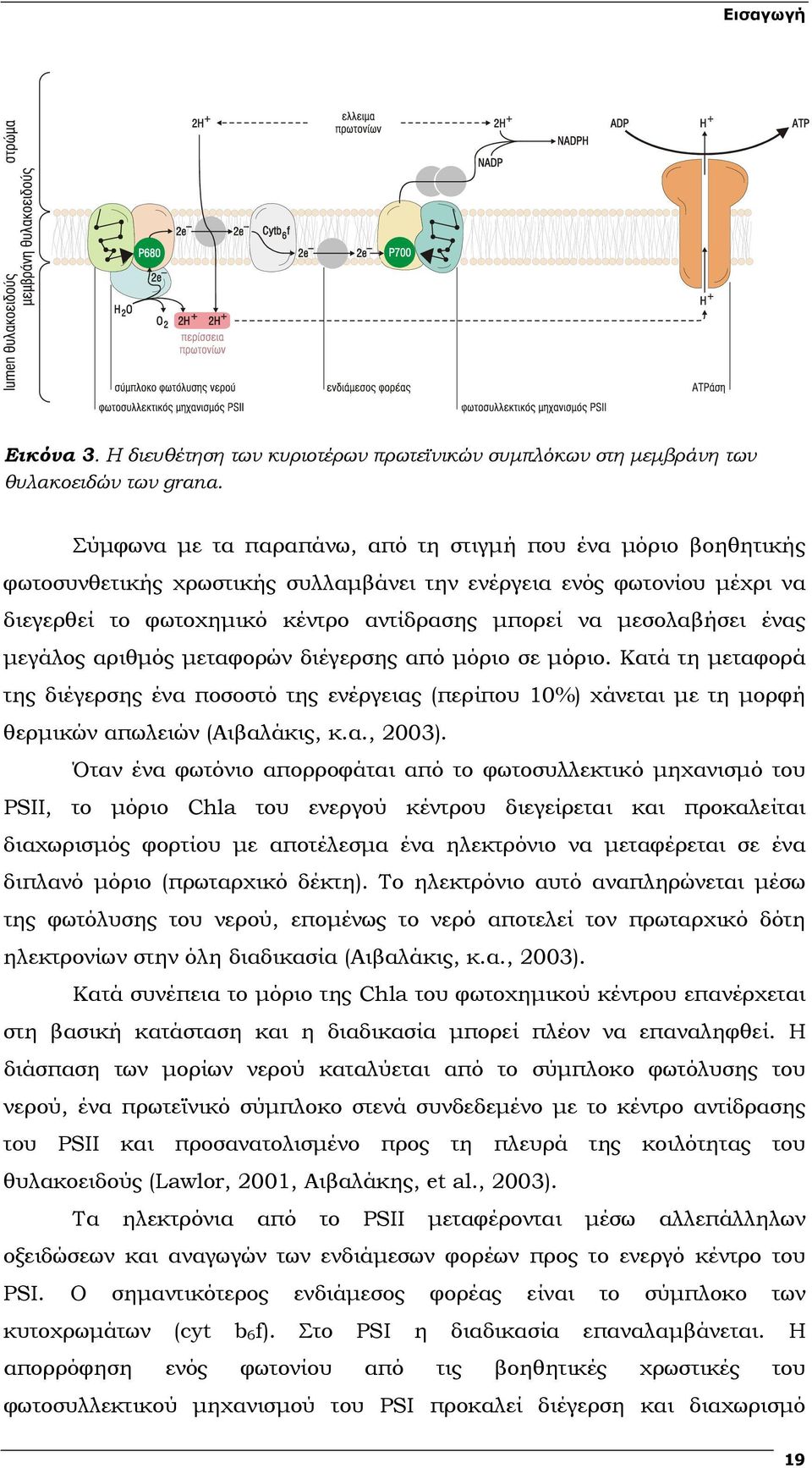 ένας µεγάλος αριθµός µεταφορών διέγερσης από µόριο σε µόριο. Κατά τη µεταφορά της διέγερσης ένα ποσοστό της ενέργειας (περίπου 10%) χάνεται µε τη µορφή θερµικών απωλειών (Αιβαλάκις, κ.α., 2003).