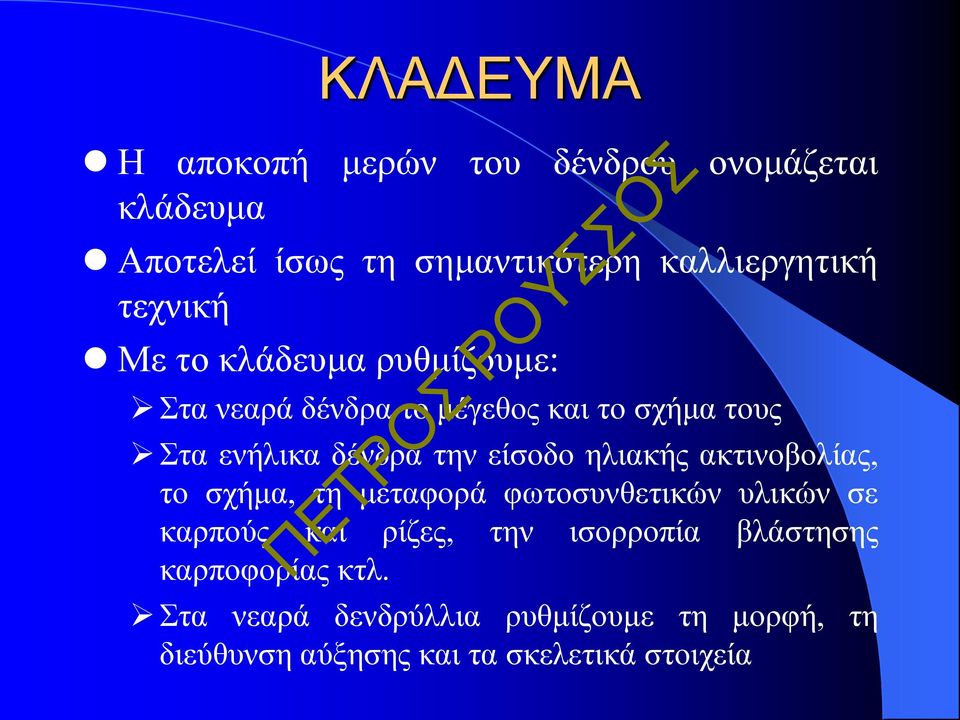 είσοδο ηλιακής ακτινοβολίας, το σχήμα, τη μεταφορά φωτοσυνθετικών υλικών σε καρπούς και ρίζες, την