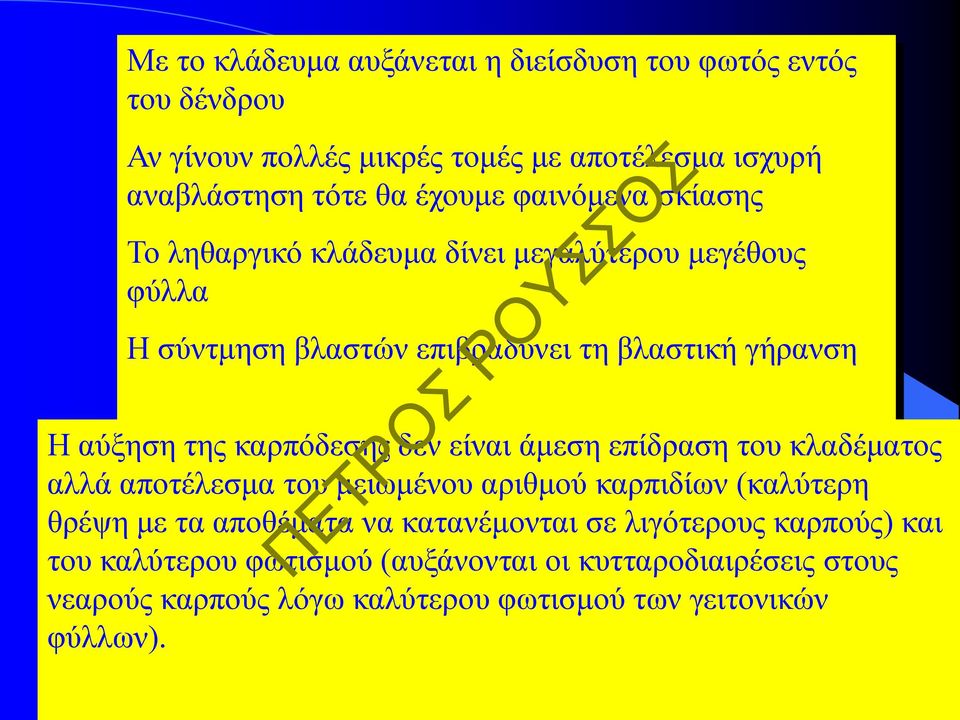 καρπόδεσης δεν είναι άμεση επίδραση του κλαδέματος αλλά αποτέλεσμα του μειωμένου αριθμού καρπιδίων (καλύτερη θρέψη με τα αποθέματα να