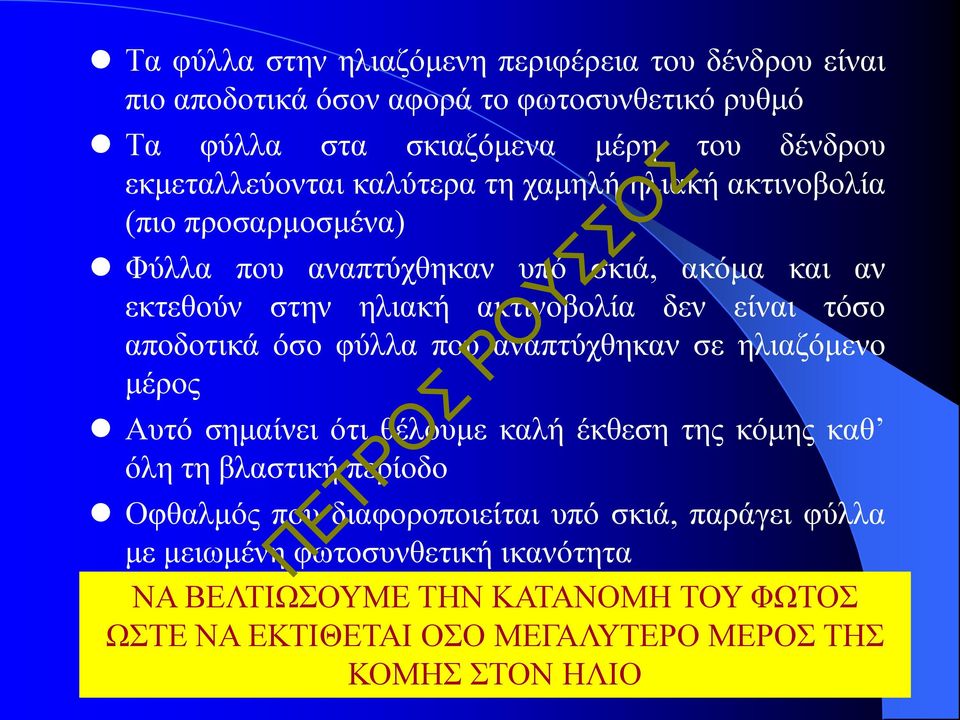 αναπτύχθηκαν σε ηλιαζόμενο μέρος Αυτό σημαίνει ότι θέλουμε καλή έκθεση της κόμης καθ όλη τη βλαστική περίοδο Οφθαλμός που διαφοροποιείται υπό σκιά, παράγει φύλλα με