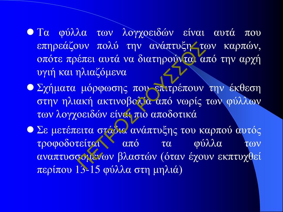 ακτινοβολία από νωρίς των φύλλων των λογχοειδών είναι πιο αποδοτικά Σε μετέπειτα στάδια ανάπτυξης του