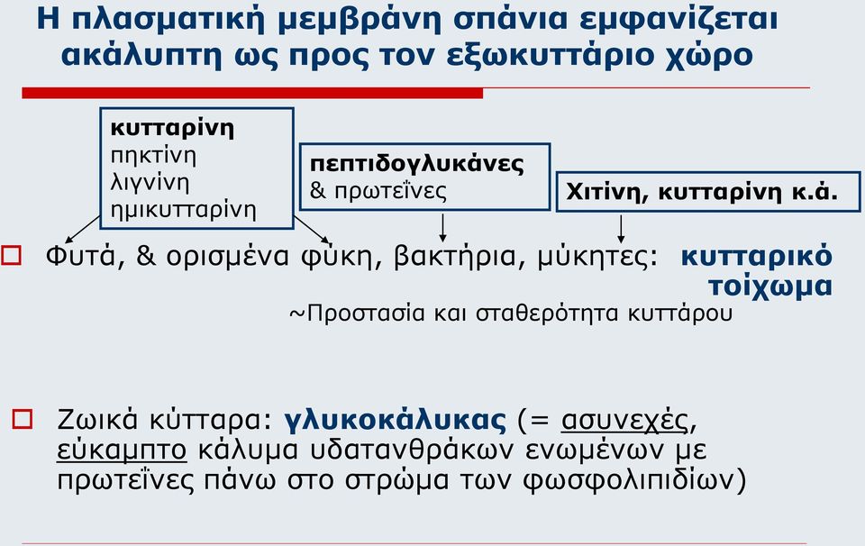 ες & πρωτεΐνες Χιτίνη, κυτταρίνη κ.ά.