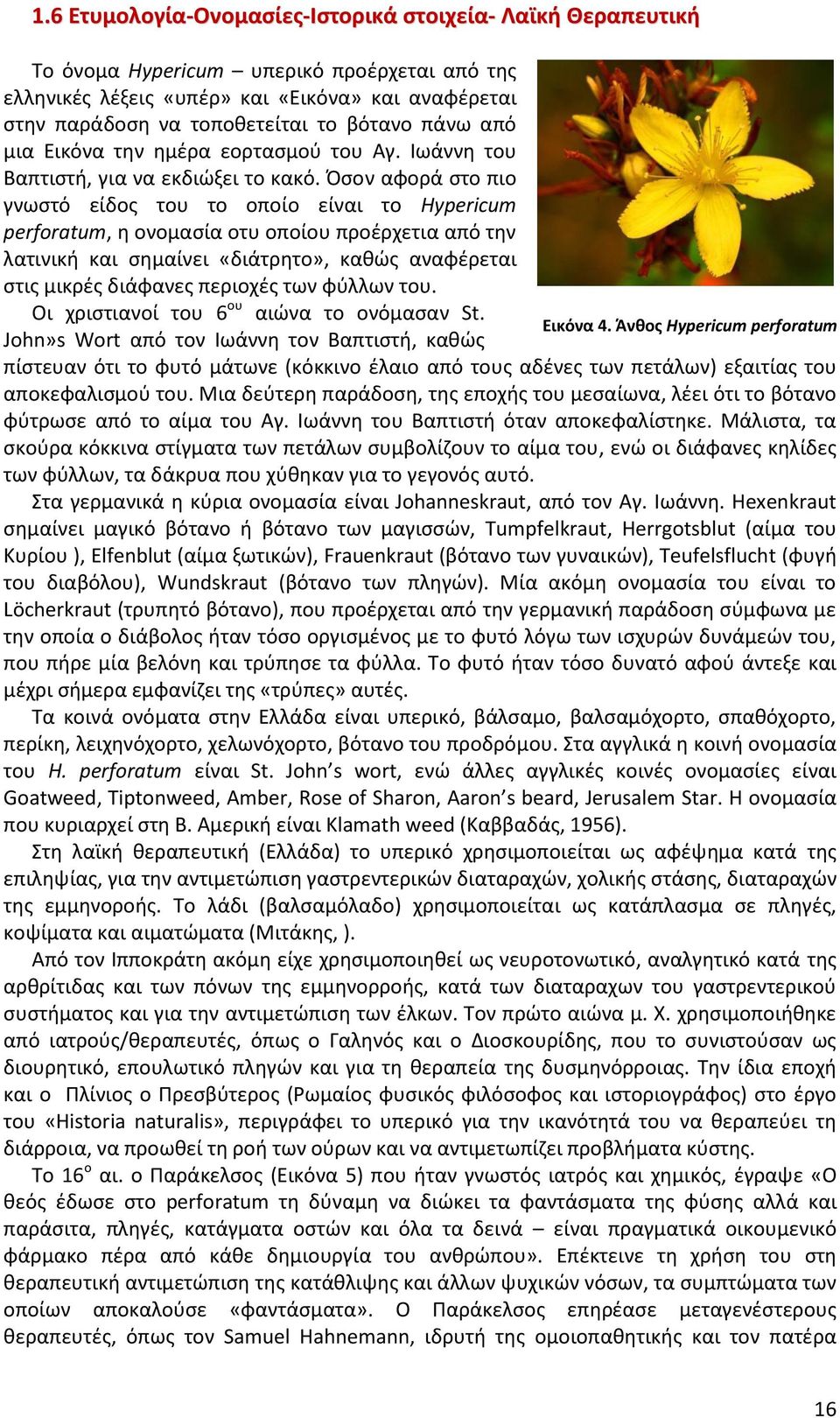 Όσον αφορά στο πιο γνωστό είδος του το οποίο είναι το Hypericum perforatum, η ονομασία οτυ οποίου προέρχετια από την λατινική και σημαίνει «διάτρητο», καθώς αναφέρεται στις μικρές διάφανες περιοχές