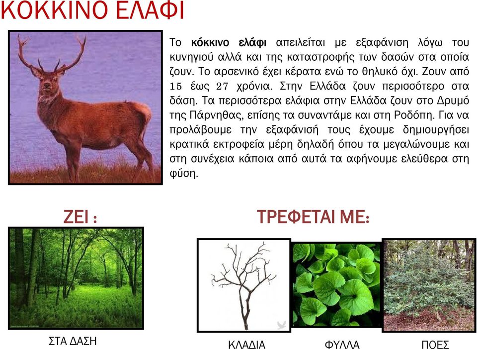 Τα περισσότερα ελάφια στην Ελλάδα ζουν στο Δρυμό της Πάρνηθας, επίσης τα συναντάμεκαι στη Ροδόπη.