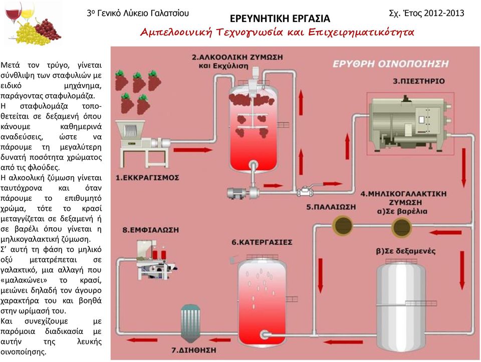 Η αλκοολική ζύμωση γίνεται ταυτόχρονα και όταν πάρουμε το επιθυμητό χρώμα, τότε το κρασί μεταγγίζεται σε δεξαμενή ή σε βαρέλι όπου γίνεται η μηλικογαλακτική